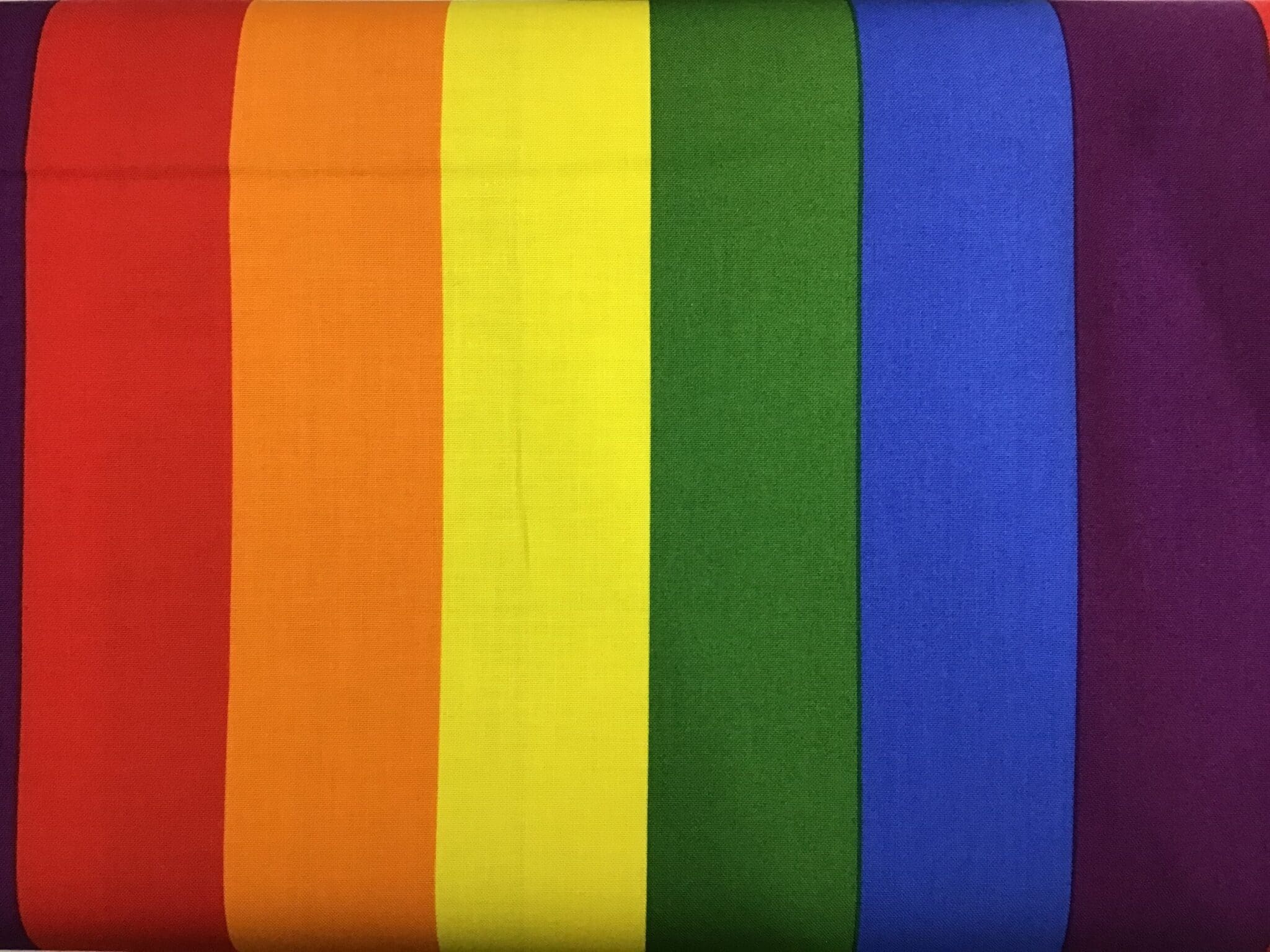 SRK19638263 Rainbow Pride by Robert Kaufman multi fabric Quilters Den