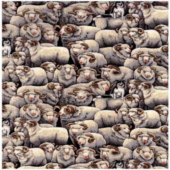 86420 Merino Sheep 102 Cream Grey on Black by Nutex fabric